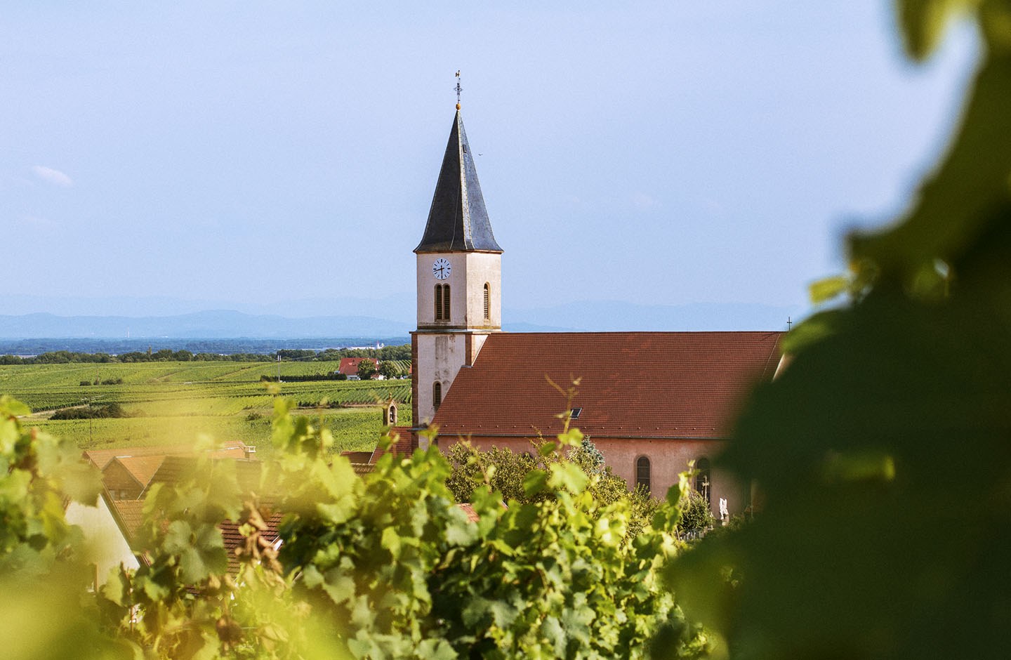 Sohler Pinot Noir Bacchus AOP Alsace 750ml - Image 3
